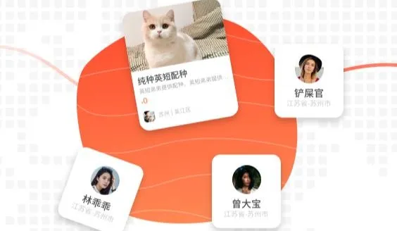 �������°汾