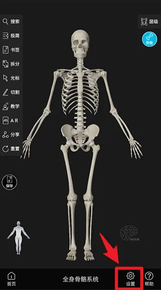 ά����3D�����°汾