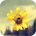 ����ʶ��(����ʶ�𻨲�)v5.5.5 ��׿��