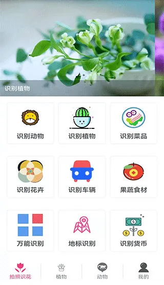 ����ʶ��(����ʶ�𻨲�)
