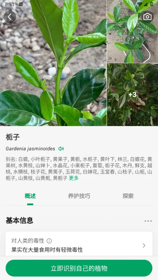 ����ʶ��(����ʶ�𻨲�)v5.5.5 ��׿��