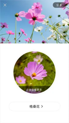 ʶ����(��������ʶ��)v1.0.6 �ٷ���