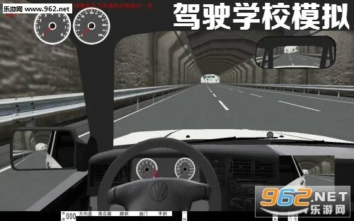 ��ʻѧУģ��(ģ���ʻ��Ϸ)