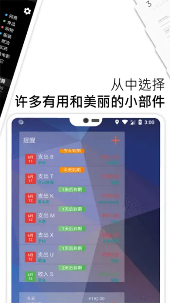 Bluecoins2025��׿�ֻ���