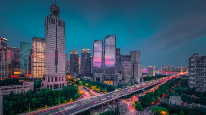 ���ݳ��д���APP2025����