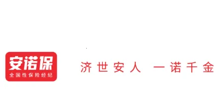 ��ŵ��2025����
