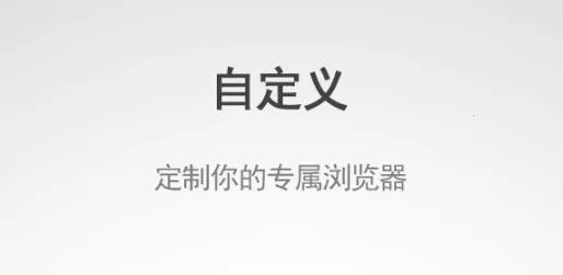 Flash Browser(���������)