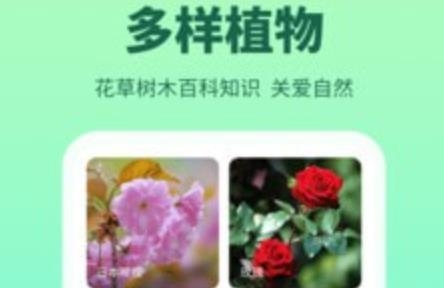 �����2025���°汾