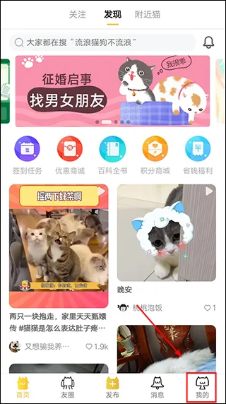 ��è���°�׿��