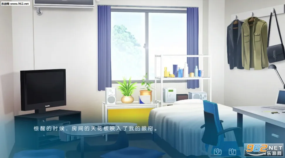 IRIS(����������)v2.0.4 �ٷ���