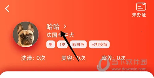 �����2025���°汾