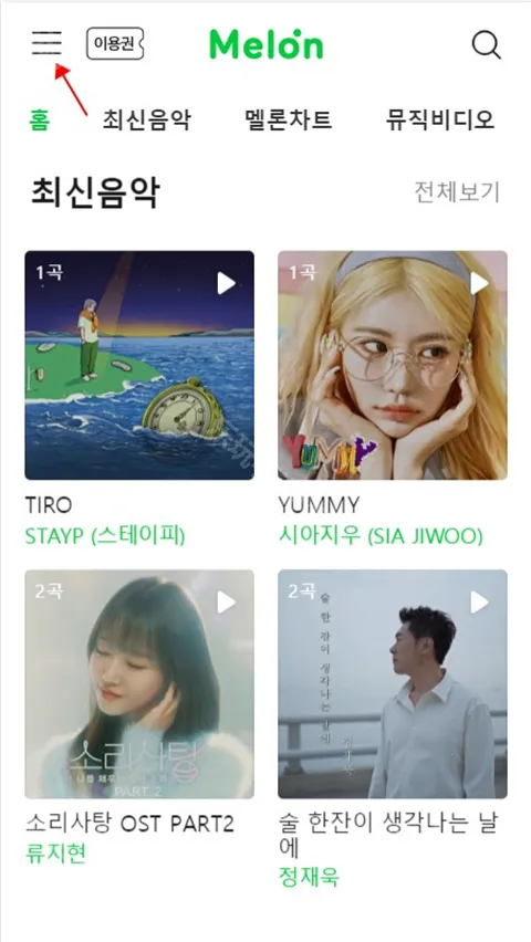 Melon(������������)