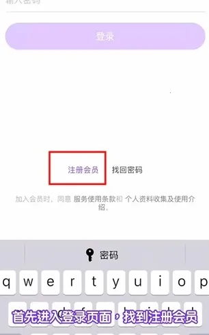 Lysn2025����