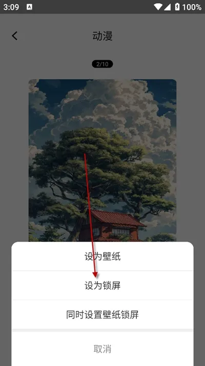 �����ɱ�ֽ(è���ֽƽ̨)