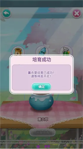 �ʻ�С��