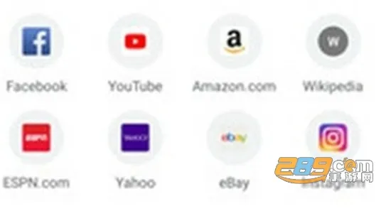 Chrome(��ҳ�������)