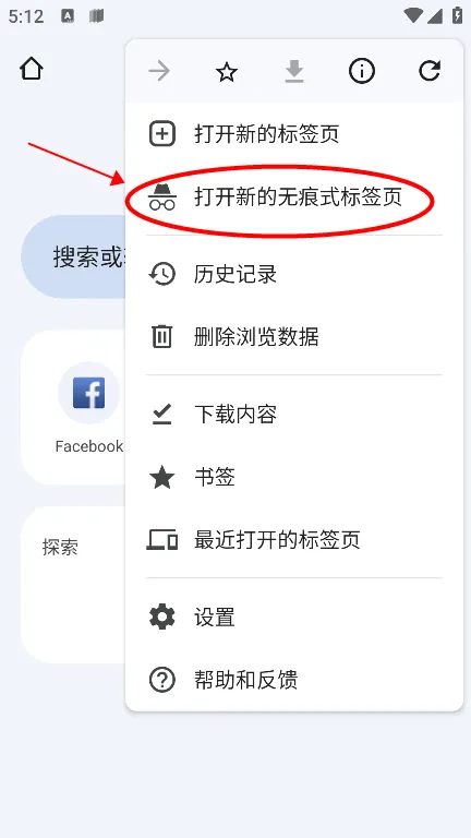 Chrome(��ҳ�������)