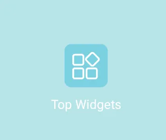 TOP WIDGETS2025���°汾