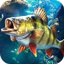 ���ֵ����ʦ2025�ٷ����°汾v1.0.0.195531 ��׿��