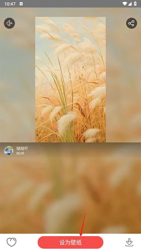 ��׿��̬��ֽ(��̬��������)