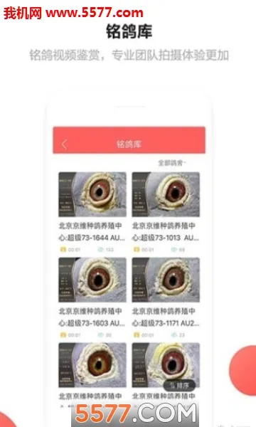 �Ѹ���(�Ÿ��ۺϷ���)v1.10.20 ��Ѱ�
