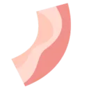Bacon2025����v1.32 ��׿��