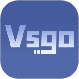 Vsgo2025����v1.0.0 �ֻ���