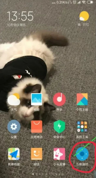 �յ�ң����(�ֻ�ң��)