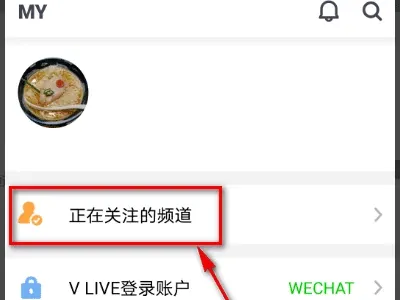 V LIVE2025���°汾