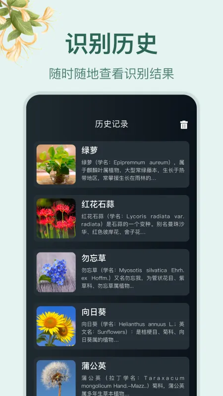 С԰�������ֻ���v1.4 �ֻ���