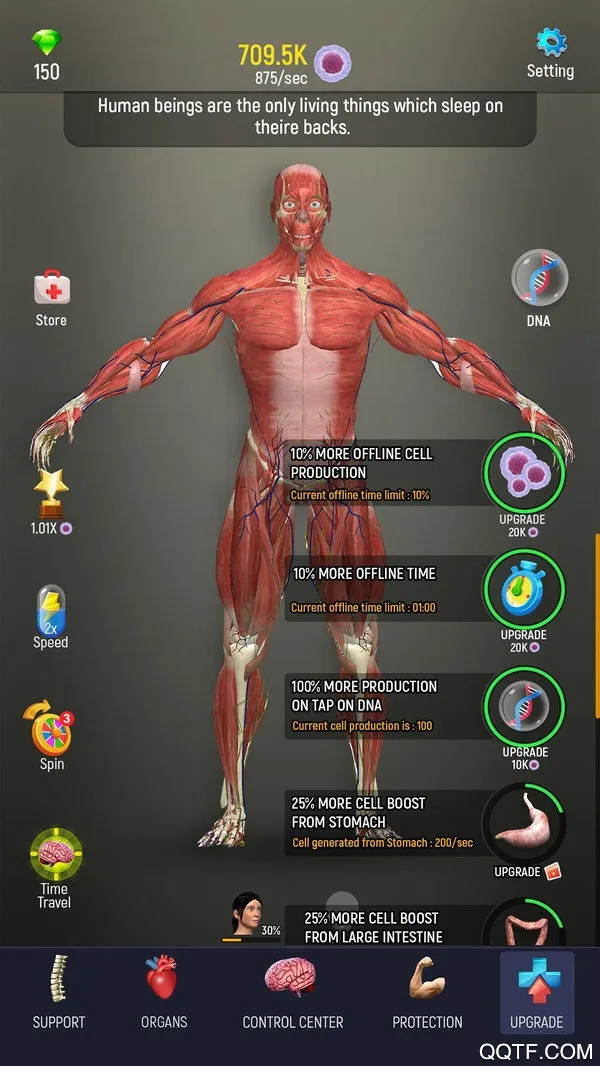 ��������ģ��2025���ذ�װv1.0 �ٷ���