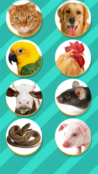 Pet Translator���°�׿��