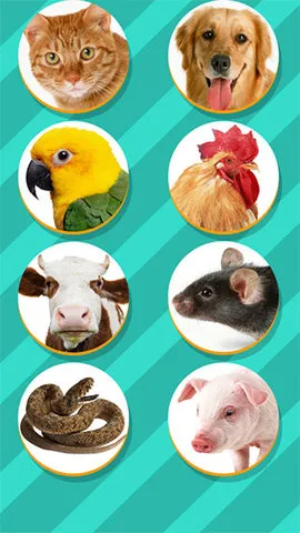 Pet Translator���°�׿��v1.1 ��Ѱ�