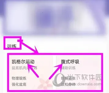 ���s2026���°汾