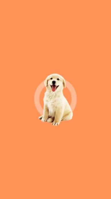 �˹�������v2.0.3 ��Ѱ�