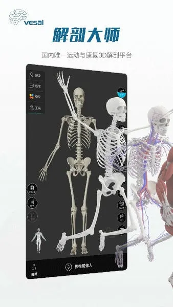 ���ʴ�ʦv5.3.0 �ֻ���