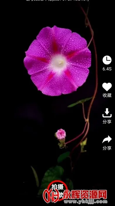 ����v5.3.2 ��׿��