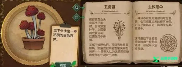 ����԰���°汾