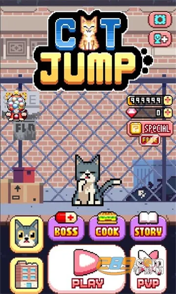 CatJump