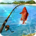 �����Ծ�(���㾺������)v1.0.451 �ٷ���